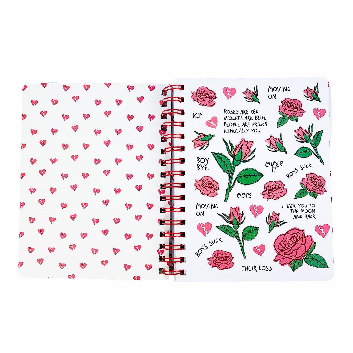 Boys Suck Notebook