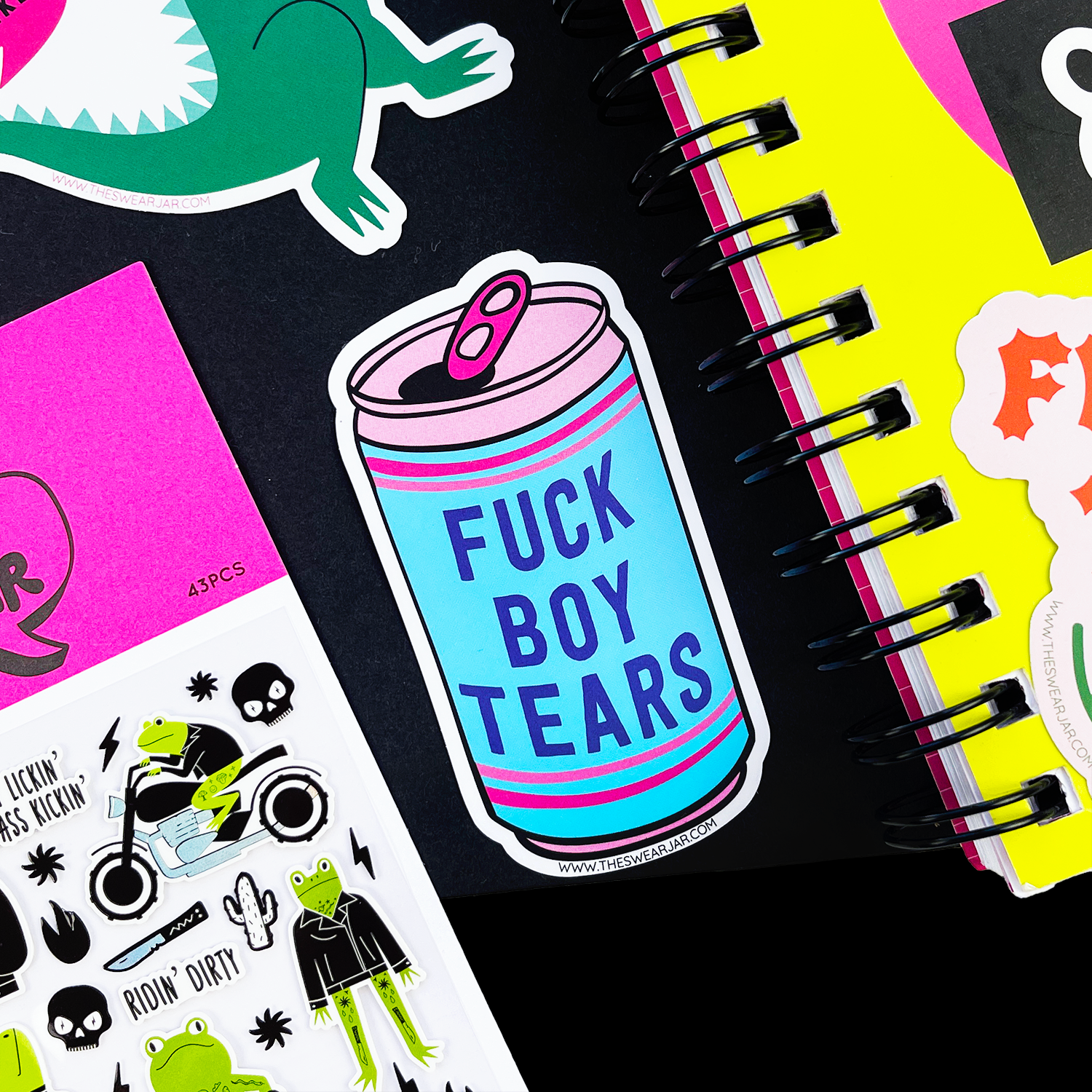 Fuck Boy Tears Vinyl