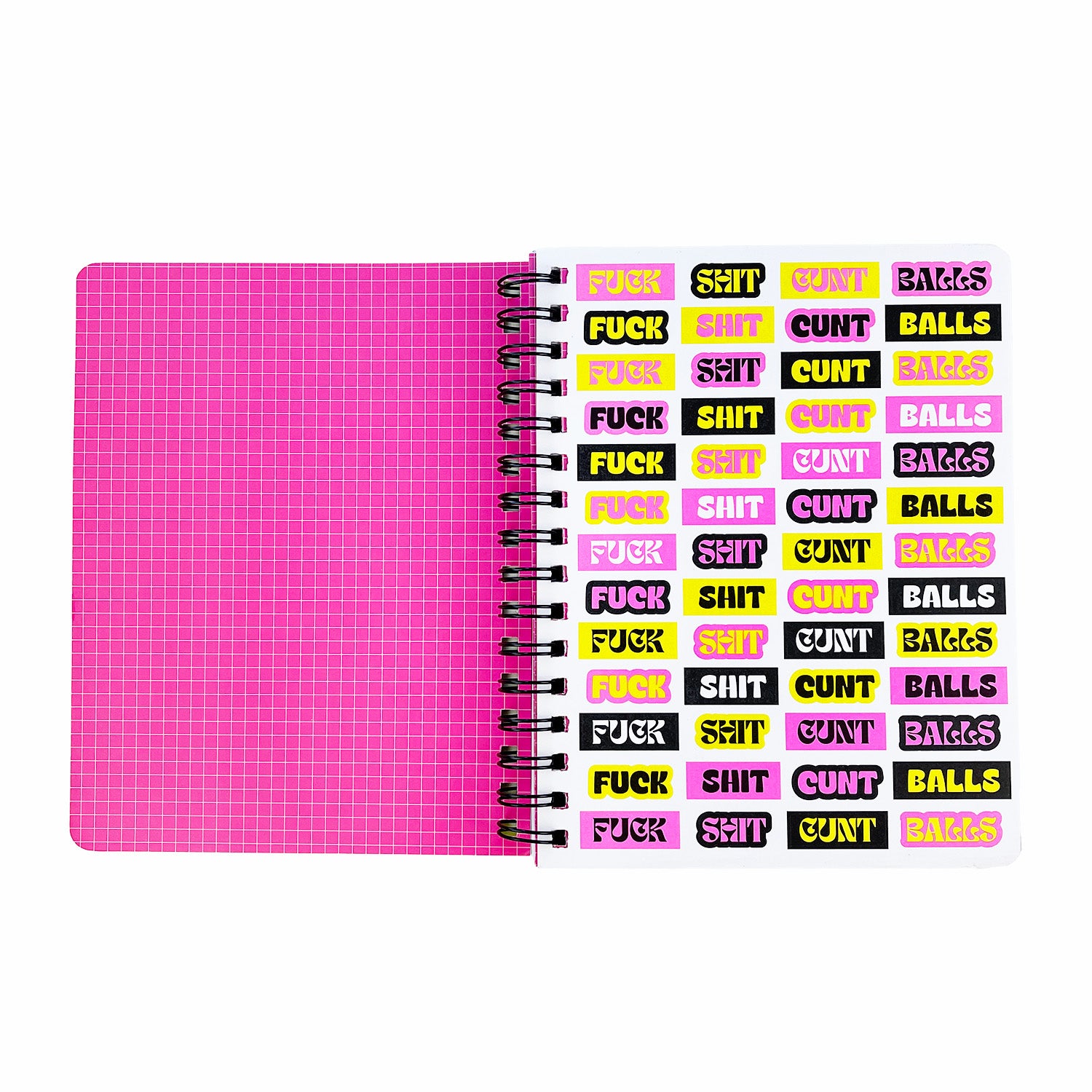 Mad Musings Notebook